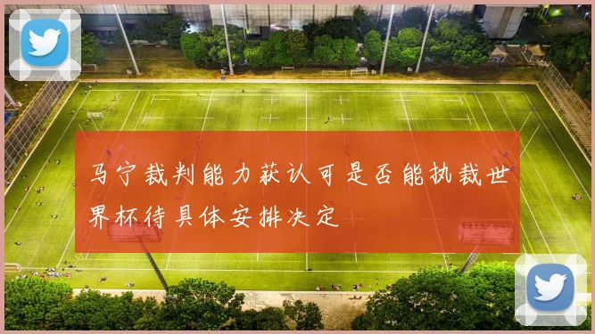 马宁裁判能力获认可是否能执裁世界杯待具体安排决定